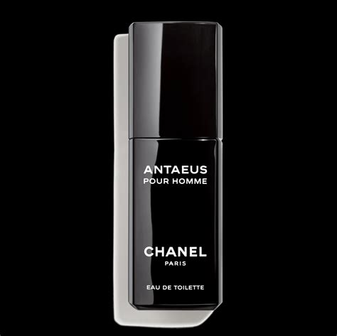 chanel antaeus eau de toilette spray 100ml|chanel antaeus discontinued.